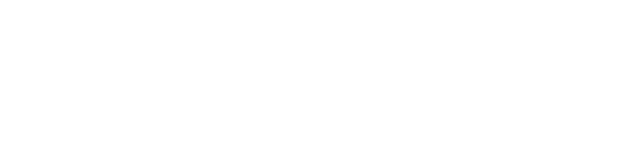 intrepid-logo